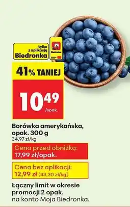 Biedronka Borówka amerykańska opak 300 g oferta