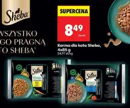 Biedronka Karma dla kota Sheba 4x85 g oferta