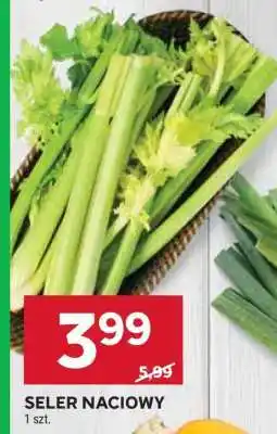 Stokrotka Market Seler naciowy oferta