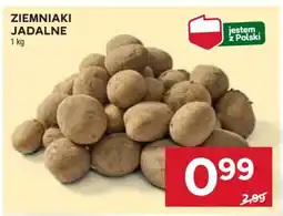 Stokrotka Market Ziemniaki jadalne oferta