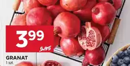 Stokrotka Market Granat oferta