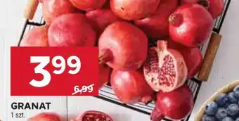 Stokrotka Market Granat oferta
