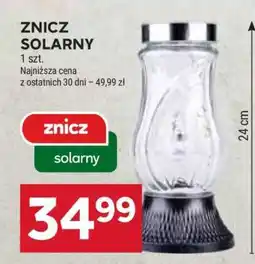 Stokrotka Market Znicz solarny oferta