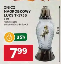 Stokrotka Market ZNICZ NAGROBKOWY LUKS T-575S oferta