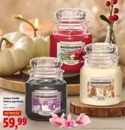 Lidl Yankee Candle Świeca Zapachowa oferta