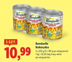 Lidl BONDUELLE Kukurydza oferta