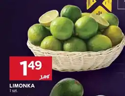 Stokrotka Limonka Stokrotka oferta