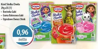 DUO-TES Kisiel Słodka Chwila Sawex foods oferta