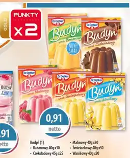 DUO-TES Budyń Sawex foods oferta