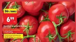 Biedronka Pomidory gałązka oferta