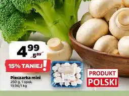 Netto Pieczarki mini oferta