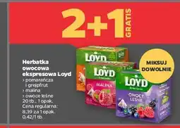 Netto Herbata pomarańcz i grejpfrut Loyd Tea The Magic Experience oferta