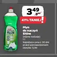 Netto Płyn do mycia naczyń apple Shine Classic oferta