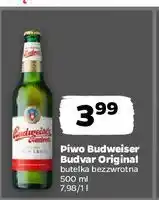 Netto Piwo Budweiser oferta