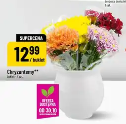 Polomarket Chryzantemy bukiet - 4 szt oferta