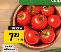 Polomarket Pomidor szklarniowy oferta