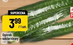Polomarket Ogórek szklarniowy oferta