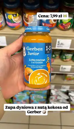Intermarche Zupa dyniowa z nutą kokosa Gerber Junior oferta