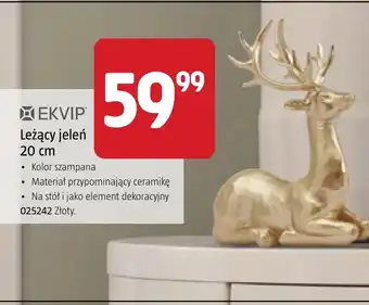 Figurka Ekvip