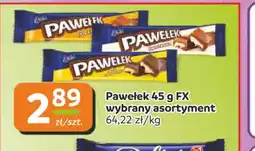 Gama Pawełek oferta