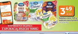 Gama Sałatka Lisner oferta