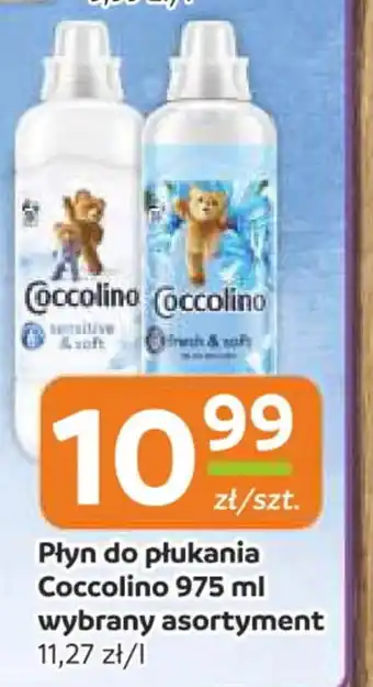 Gama Płyn do płukania Coccolino oferta