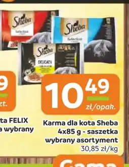 Gama Karma dla kota Sheba oferta