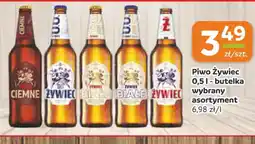 Gama Piwo Zywiec oferta