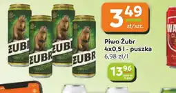 Gama Piwo Zubr oferta