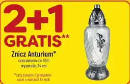 Polomarket Znicz Anturium oferta