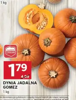 Stokrotka Optima Dynia oferta