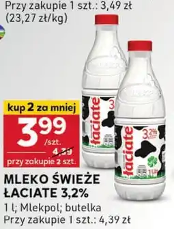 Stokrotka Optima Mleko Łaciate oferta