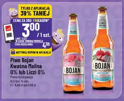 Polomarket Piwo Bojan Kwaśna Malina 0% lub Liczi 0% oferta