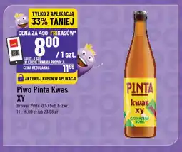 Polomarket Piwo Pinta Kwas XY oferta