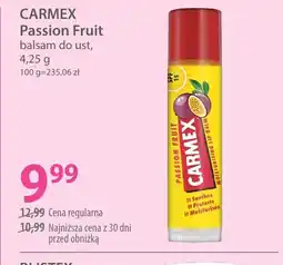 Hebe CARMEX oferta