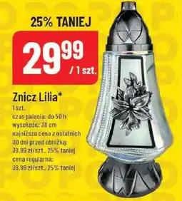 Polomarket Znicz Lilia oferta