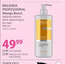 Hebe BIELENDA PROFESSIONAL Mango Boost oferta