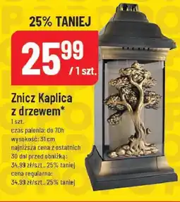 Polomarket Znicz Kaplica z drzewem oferta