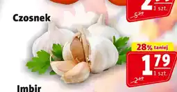 Prim Market Czosnek oferta