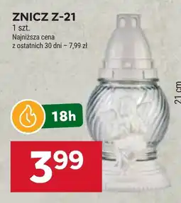 Stokrotka Znicz oferta