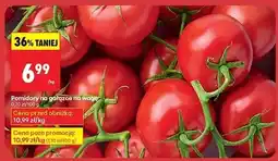Biedronka Pomidory oferta