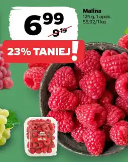 Netto Malina oferta
