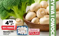 Netto Pieczarka mini oferta