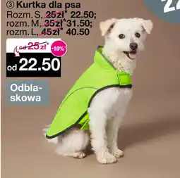 Woolworth Kurtka dla psa oferta