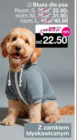 Woolworth Bluza dla psa oferta
