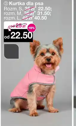 Woolworth Kurtka dla psa oferta