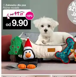 Woolworth Zabawka dla psa oferta