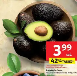 Auchan Awokado hass 1 szt. Auchan oferta