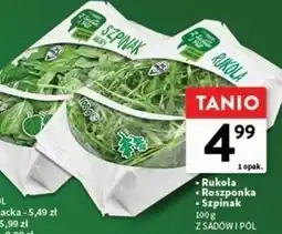 Intermarche Szpinak młody Z Sadów I Pól oferta