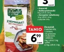 Intermarche Ziemniaki polska Z Sadów I Pól oferta